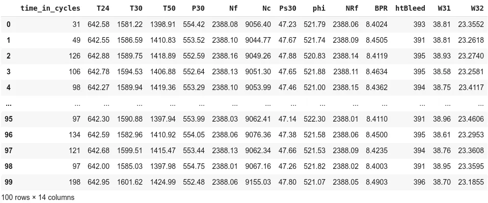 Table of the test data: 100 rows and 14 columns