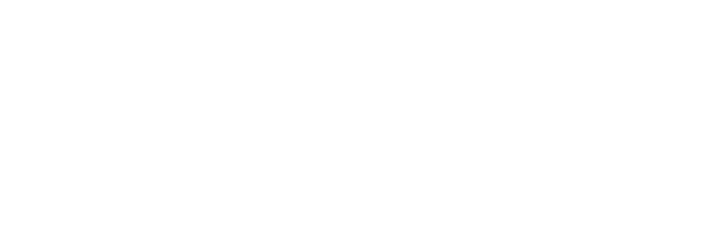 Microsoft Partner